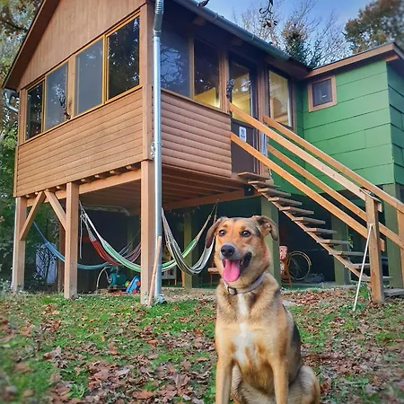 Kiskas - Eco Riparian Foresthouse *