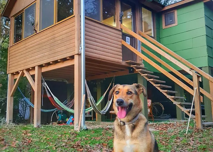Kiskas - Eco Riparian Foresthouse *